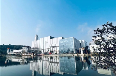 成都邓双海诺尔环保发电有限公司